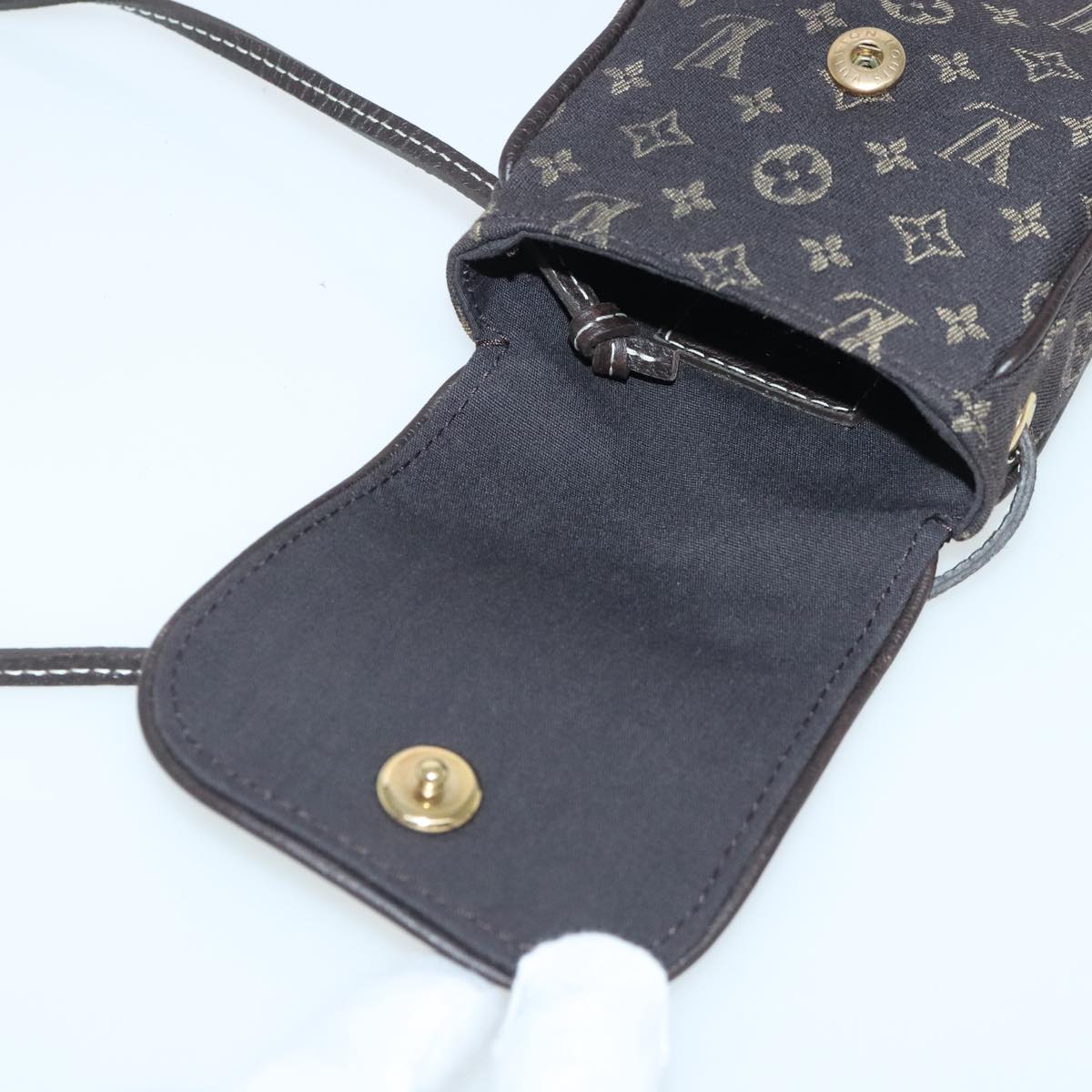 Mini Pochette Accessories Monogram