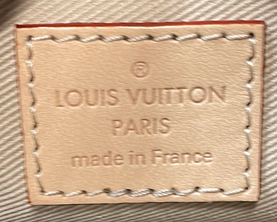 Louis Vuitton Speedy Bandouliere Bag Monoglam Jacquard Canvas Nano