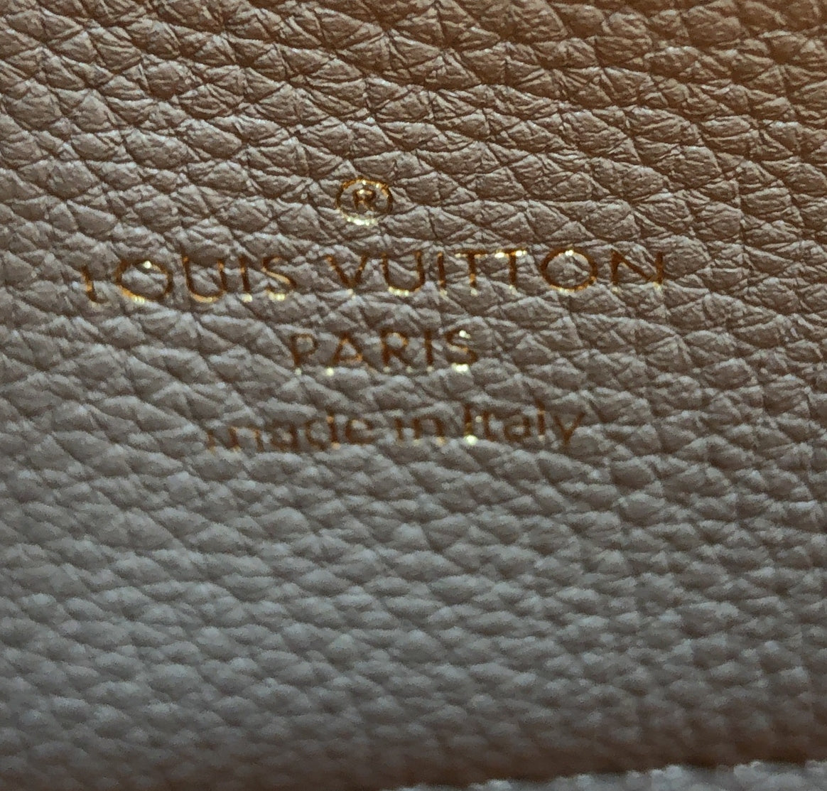 Louis Vuitton LV Pont 9 Soft Bag Leather PM