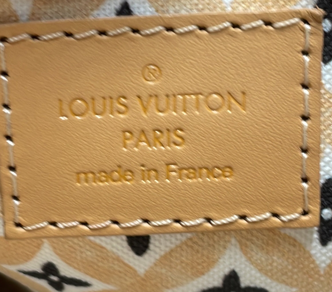 Louis Vuitton NeoNoe Handbag By The Pool Monogram Watercolor Giant BB