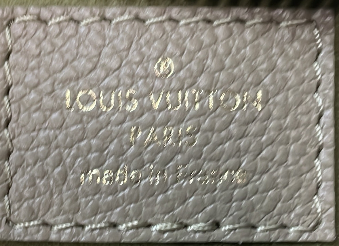 Louis Vuitton CarryAll Hobo Bicolor Monogram Empreinte Giant PM