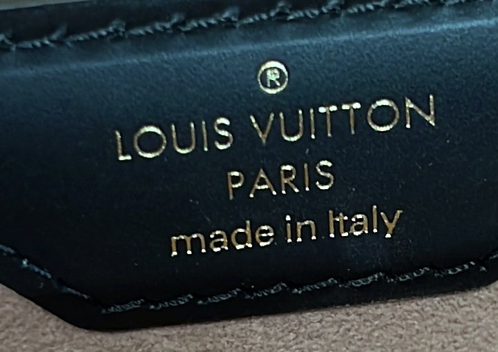 Louis Vuitton Papillon Trunk Bag Epi Leather