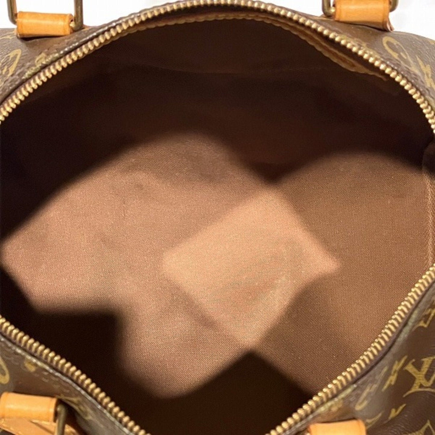 Louis Vuitton Speedy 30 Canvas Tote Bag ()