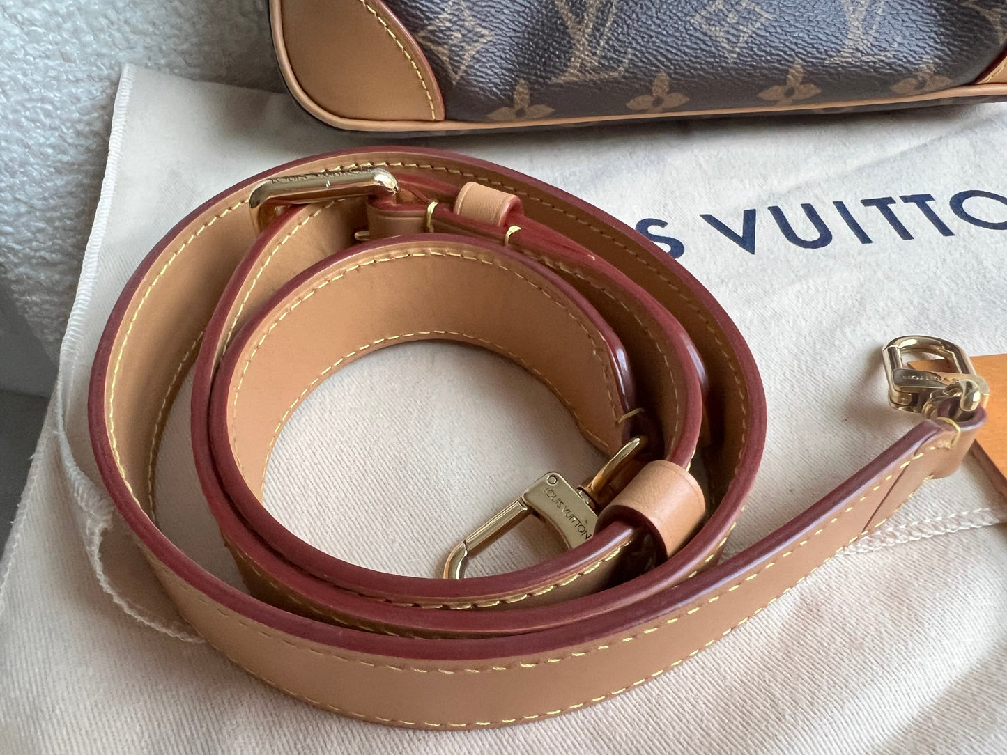 Louis Vuitton Odeon PM Monogram (RRP £1540)
