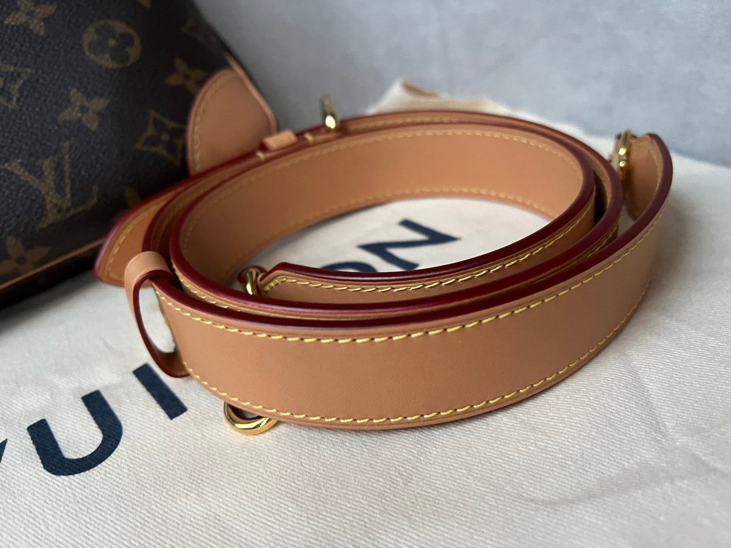 Louis Vuitton Odeon Monogram (RRP £1650)