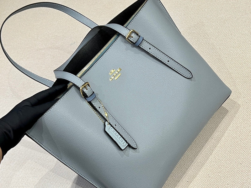 Satchel Bags - CCH Bags - 369