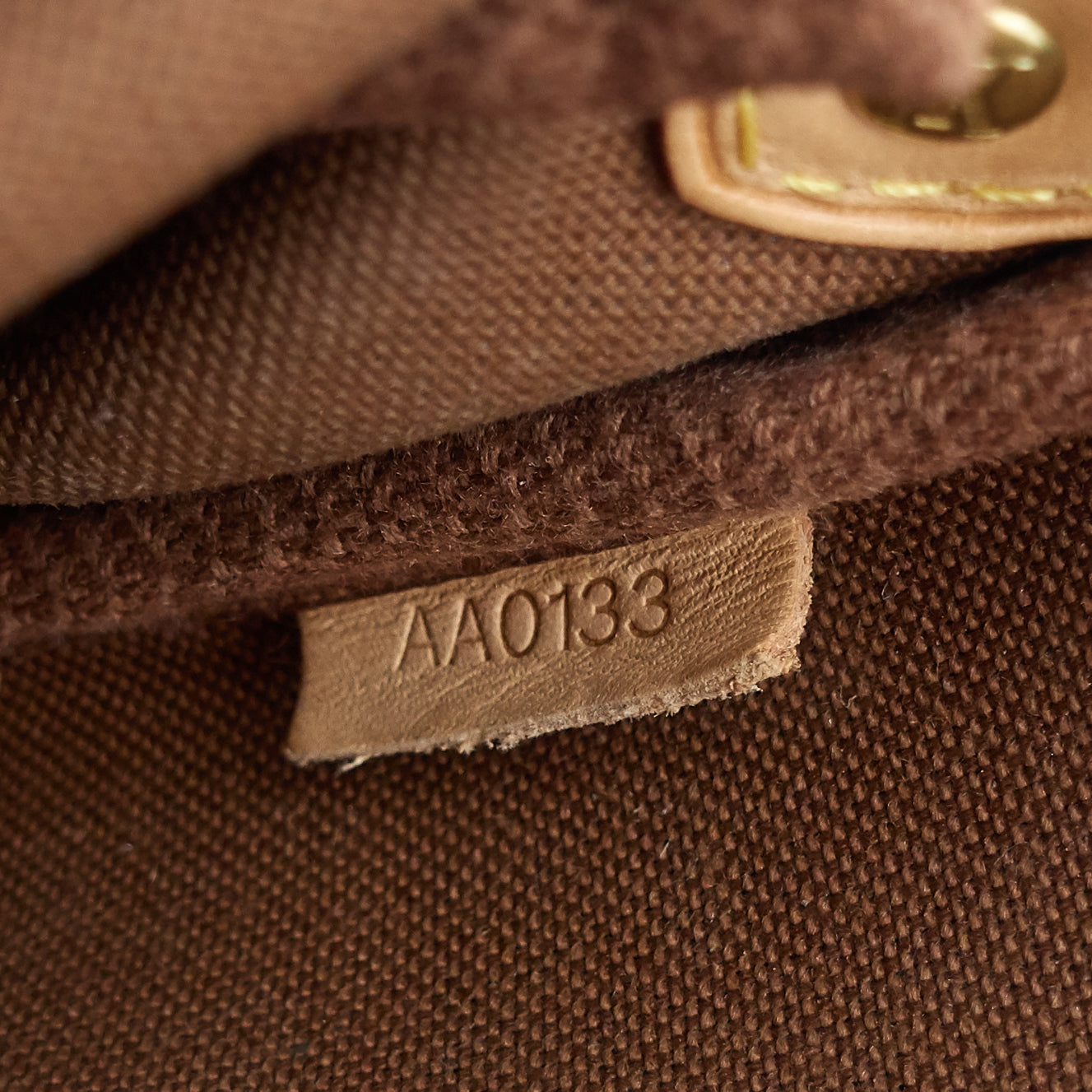 Louis Vuitto Eva Monogram Canvas Bag