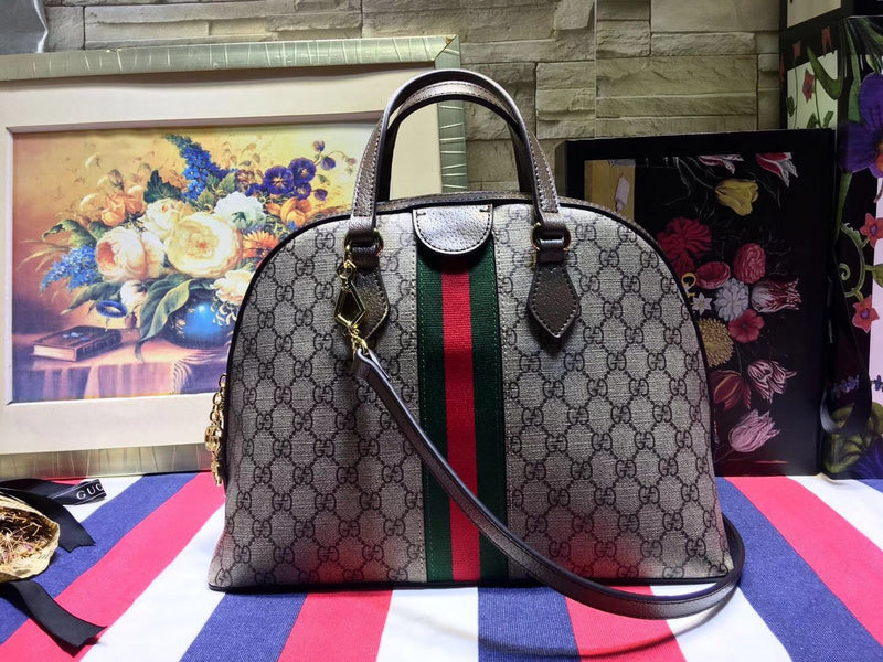 Gucci Luxury Fashion Bag