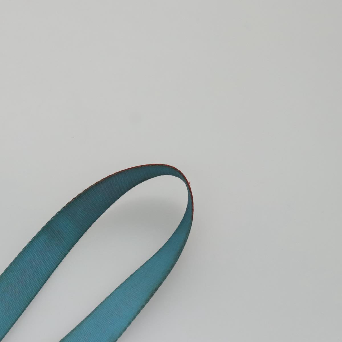 CHANEL Neck Strap Canvas Red Blue CC am7445