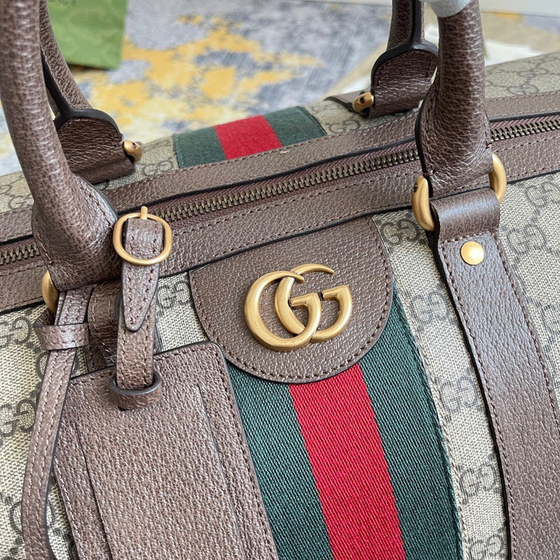 Gucci Luxury Fashion Bag