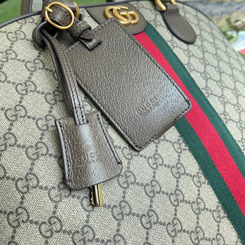 Gucci Luxury Fashion Bag
