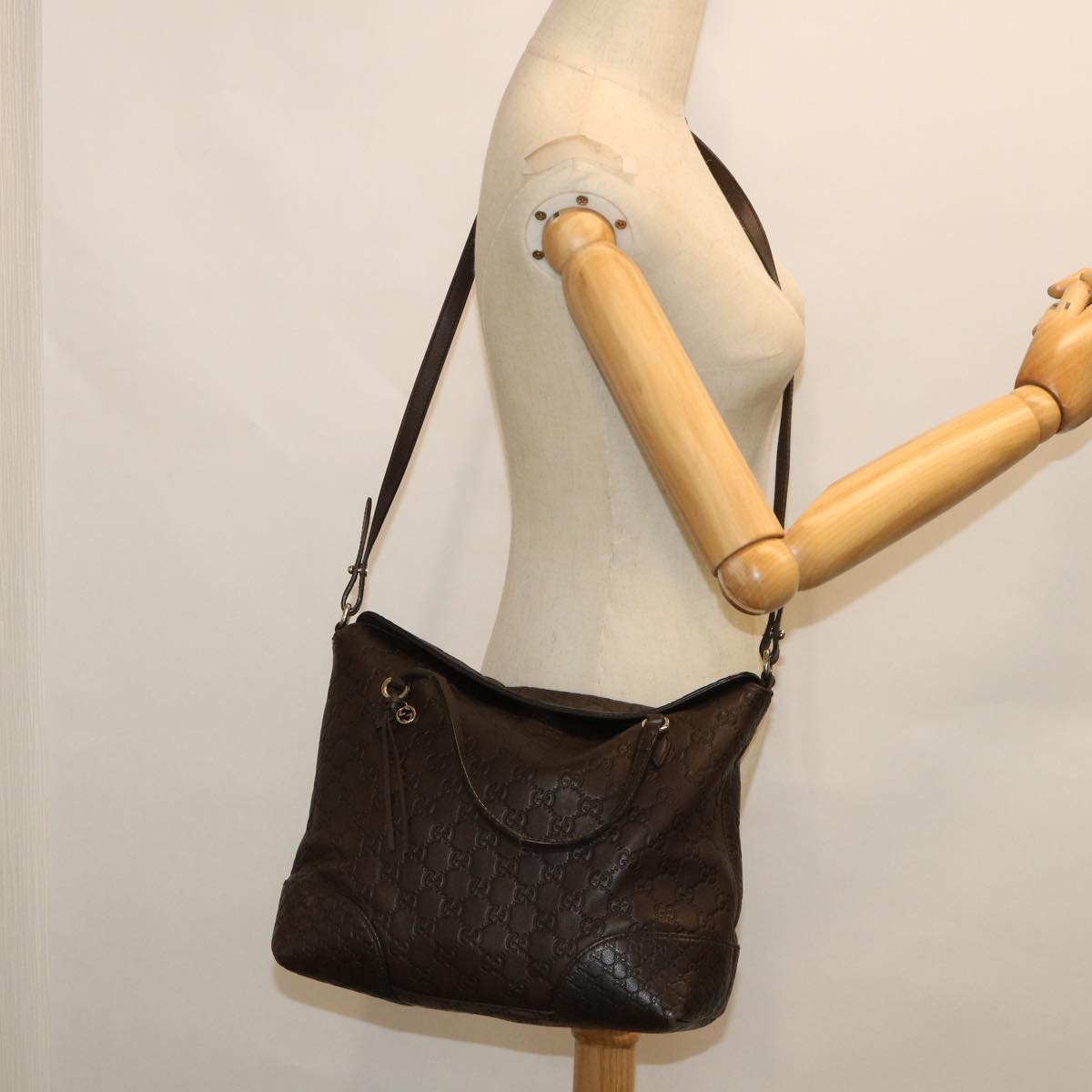 GUCCI GG Canvas Guccissima Shoulder Bag 2way Brown 353120 th4019