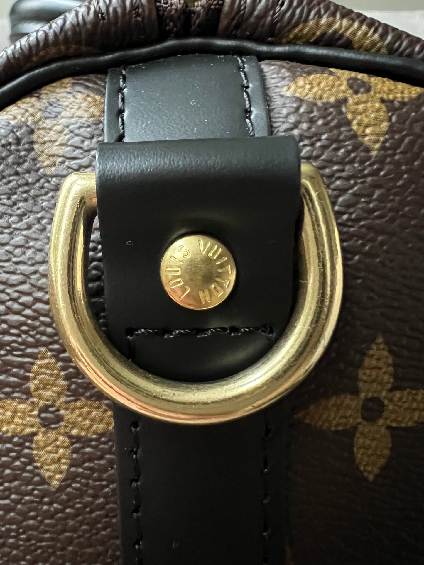 Louis Vuitton My LV World Tour Speedy 30 Bandouliere Monogram (RRP £1740)
