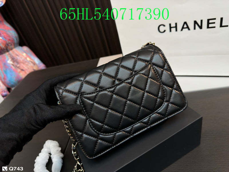 Glami - CHL Bags - 408