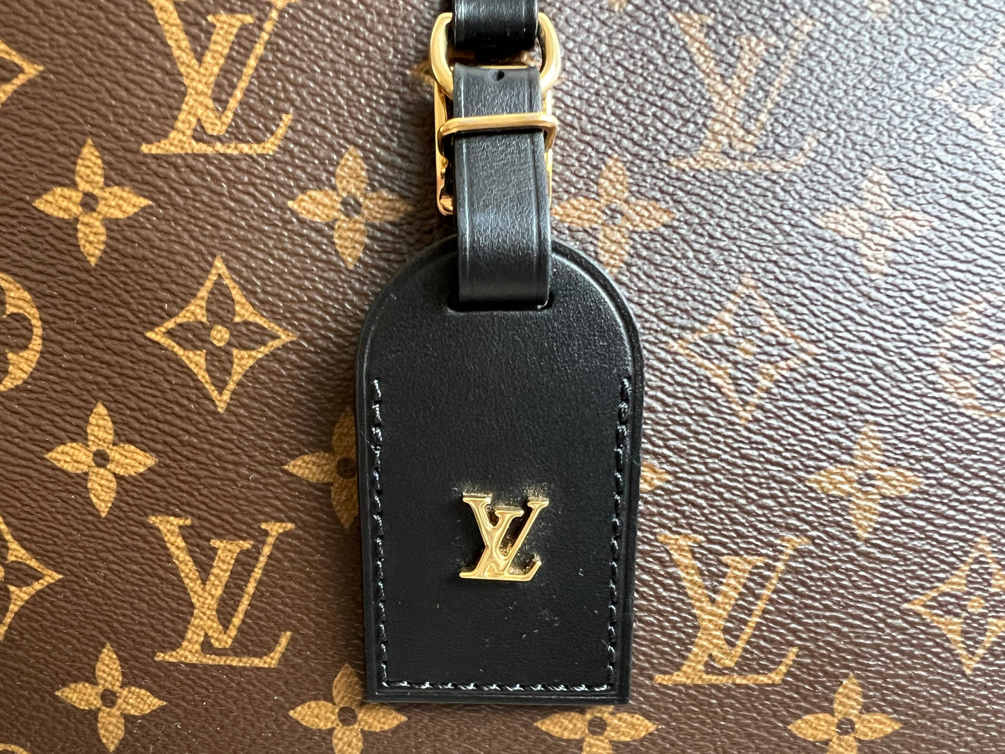 Louis Vuitton Odeon Monogram (RRP £1650)