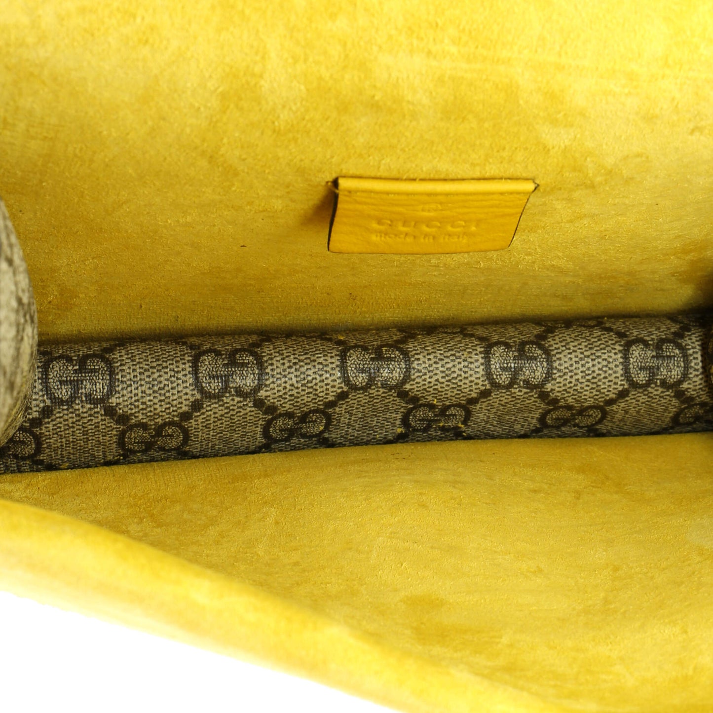 Dionysus Bag GG Coated Canvas Mini