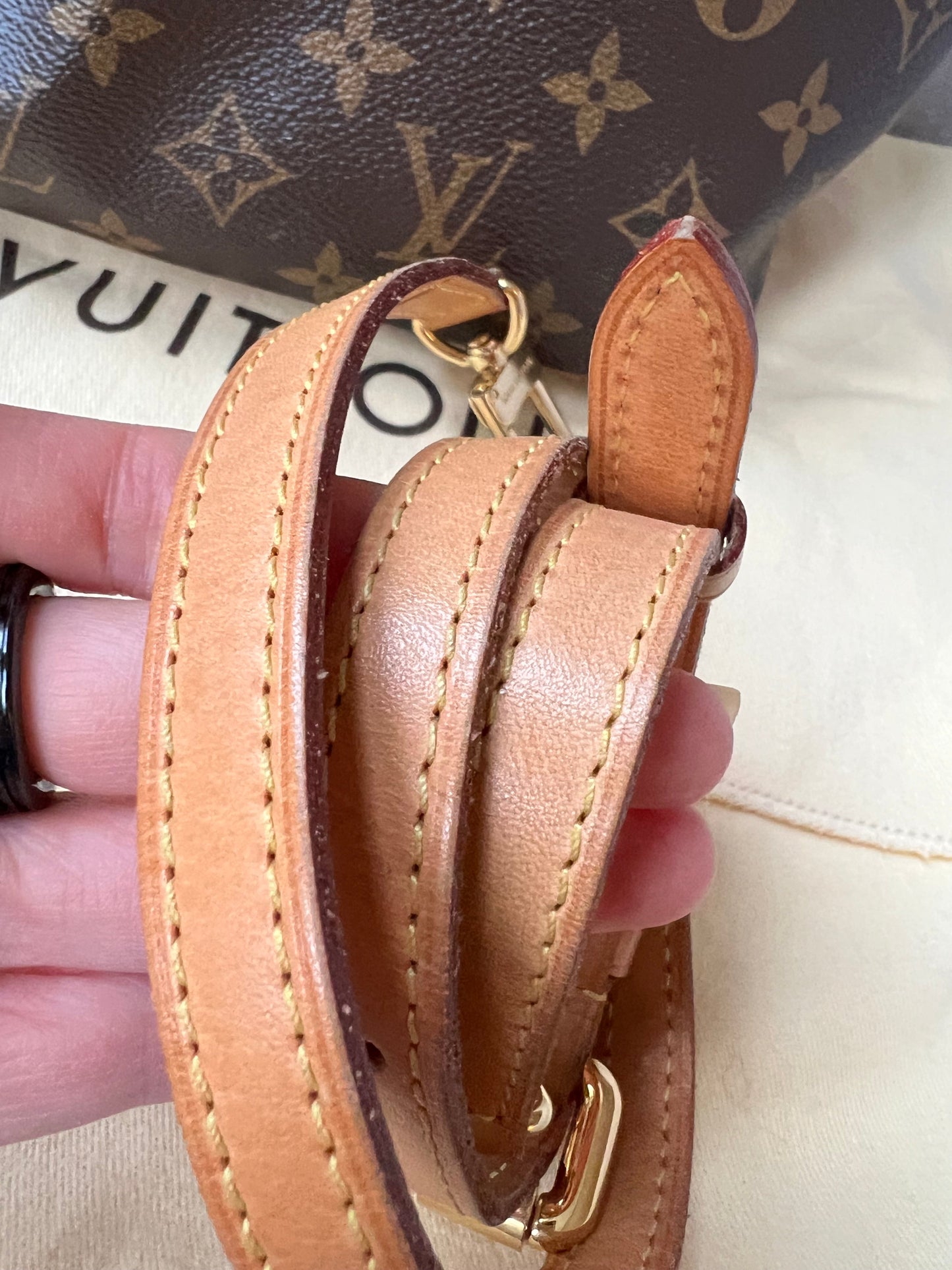 Louis Vuitton Palermo PM Monogram