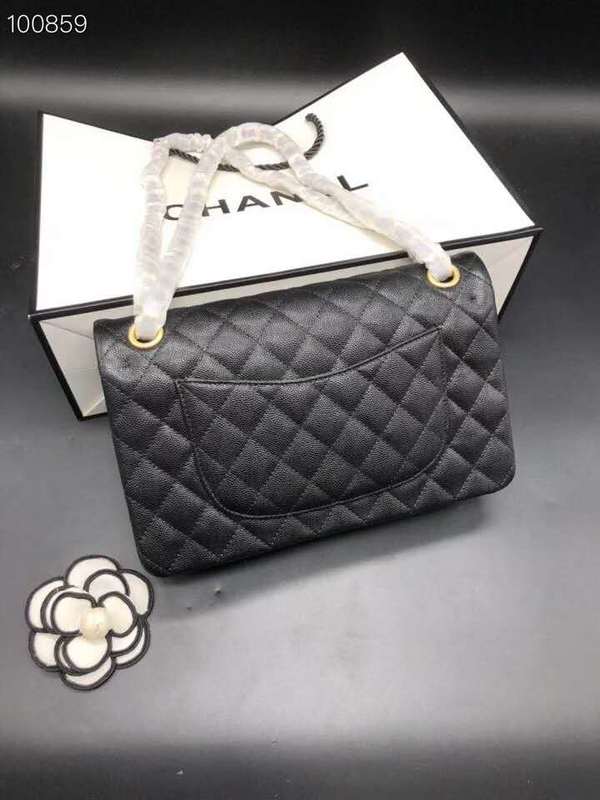 Satchel Bags - CHL Bags - 769