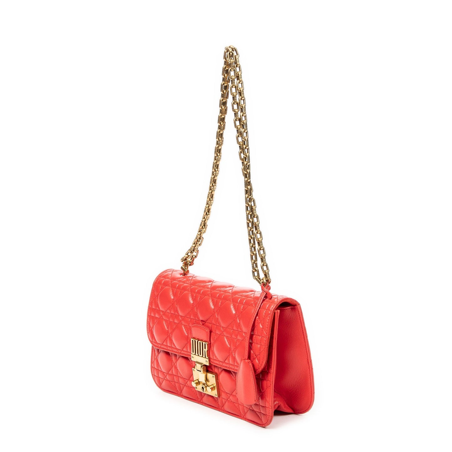 Small Dioraddict Flap