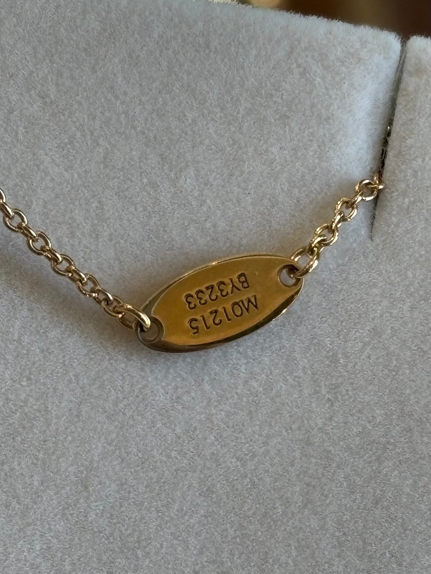 LOUIS VUITTON LV Iconic Necklace