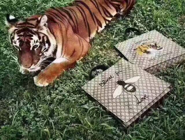 Satchel Bags - GCI Bags - 2330