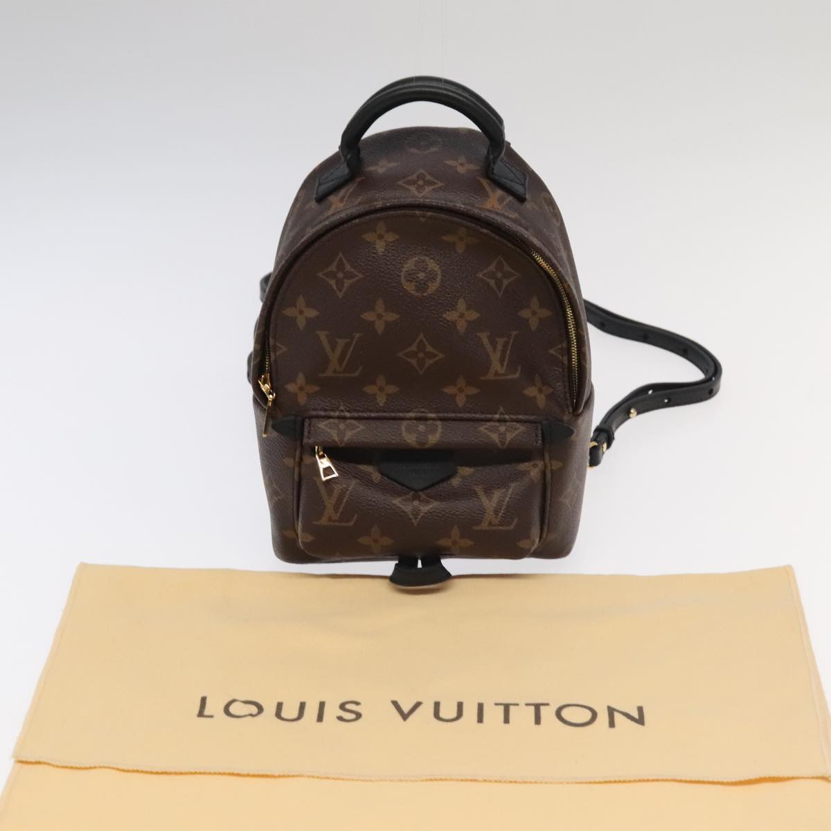 LOUIS VUITTON Monogram Palm Springs MINI Backpack M44873 LV 103379A