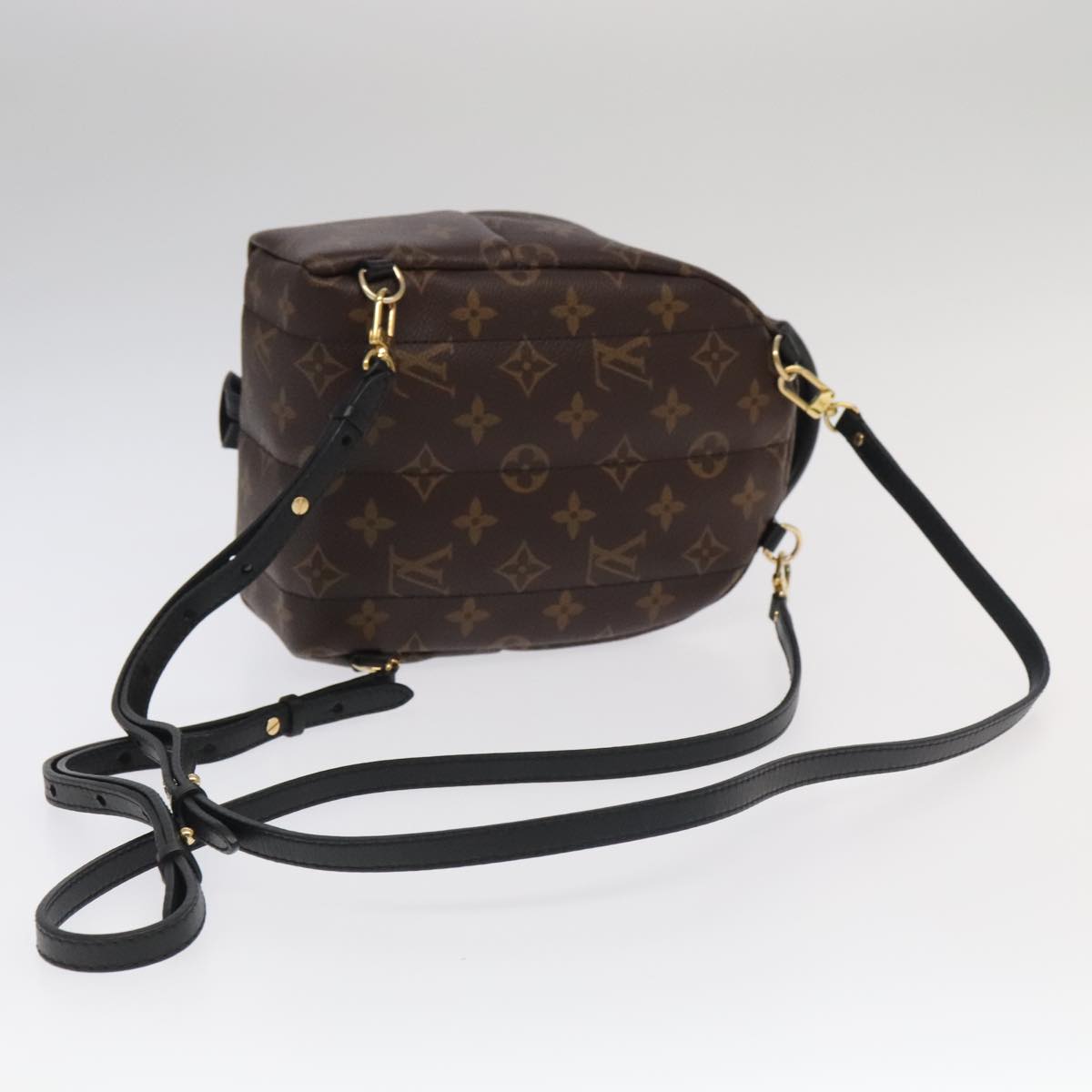 LOUIS VUITTON Monogram Palm Springs MINI Backpack M44873 LV 103379A