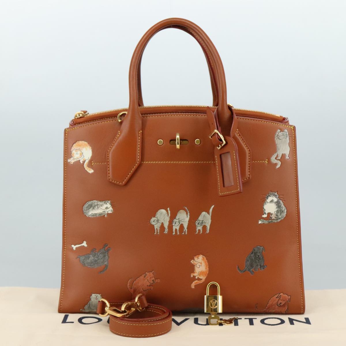 LOUIS VUITTON Catgram City Steamer MM Bag Leather 2way Brown M52969 104191S