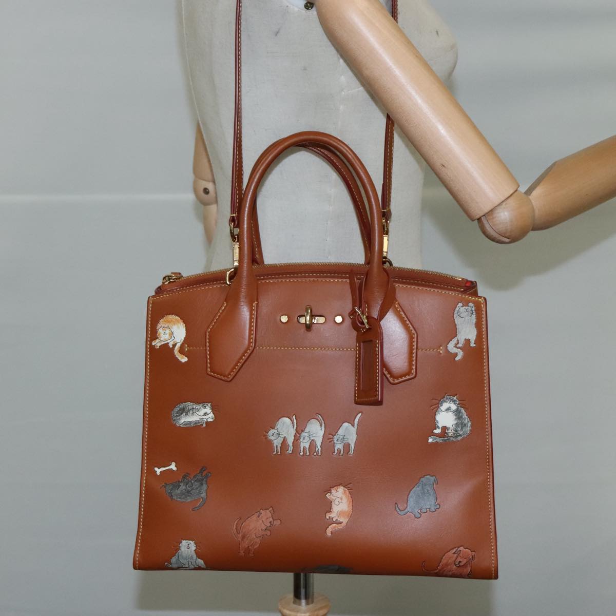 LOUIS VUITTON Catgram City Steamer MM Bag Leather 2way Brown M52969 104191S