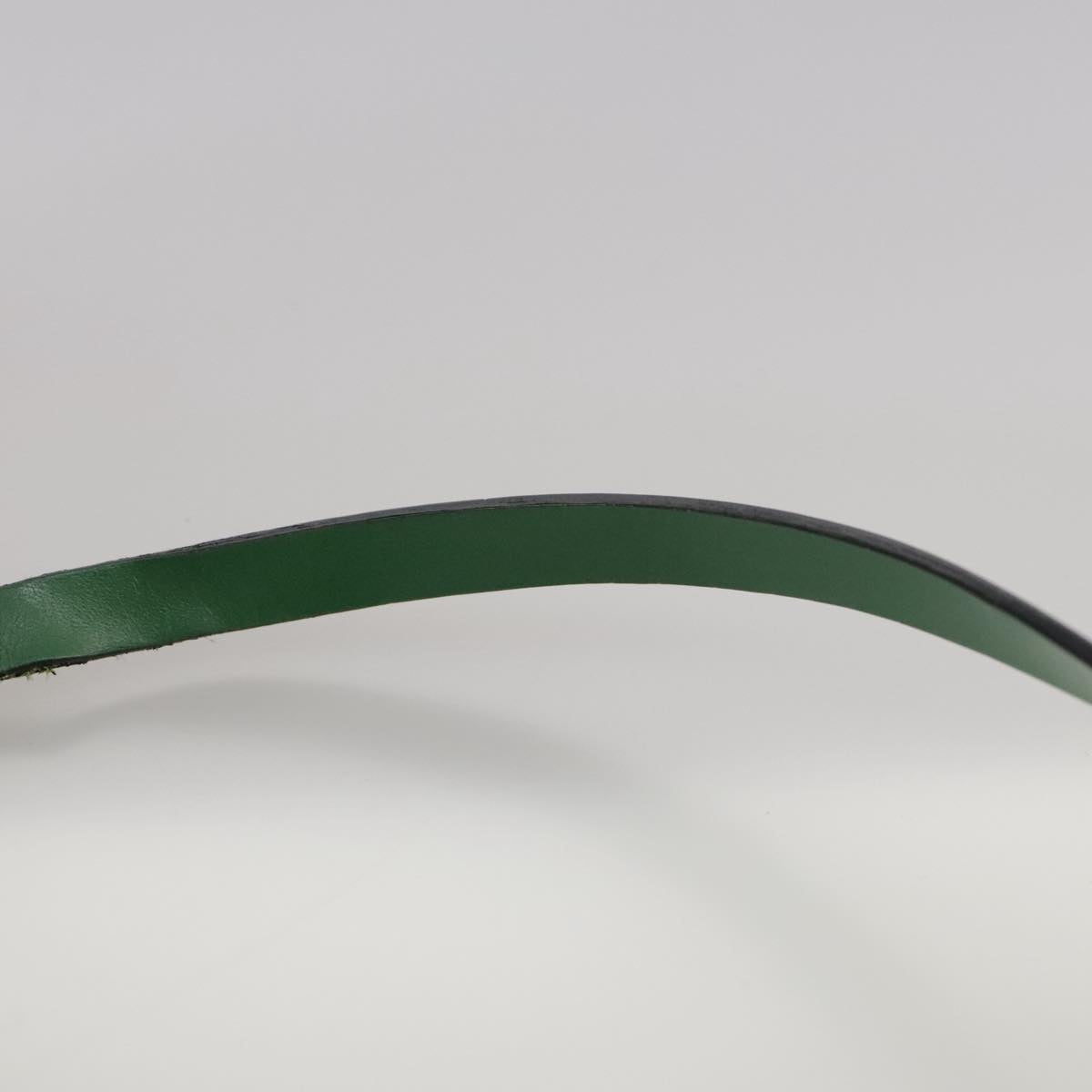LOUIS VUITTON Epi Soufflot Pouch Green LV 106405