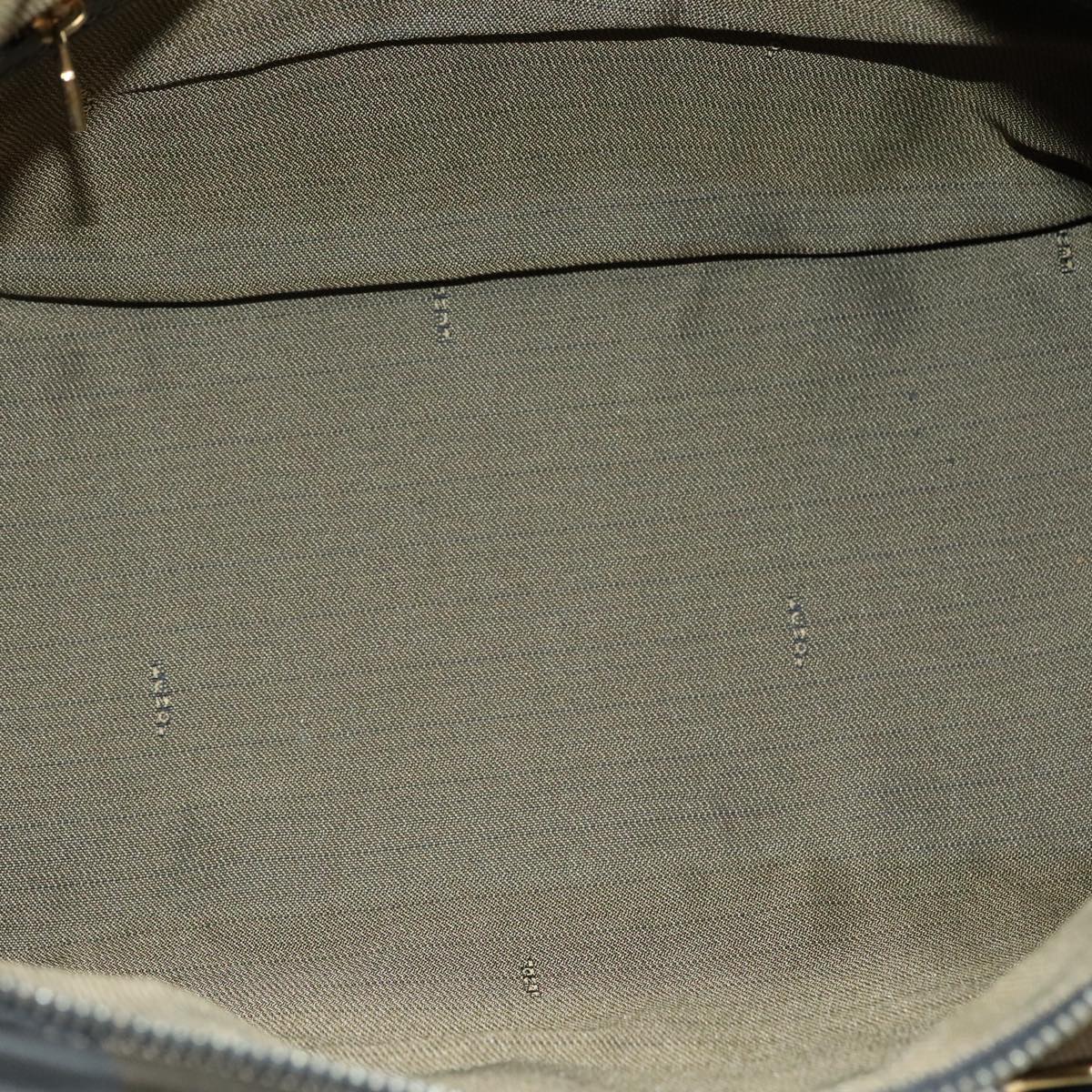 FENDI Pecan Canvas Hand Bag 2way Brown Black gold 111719