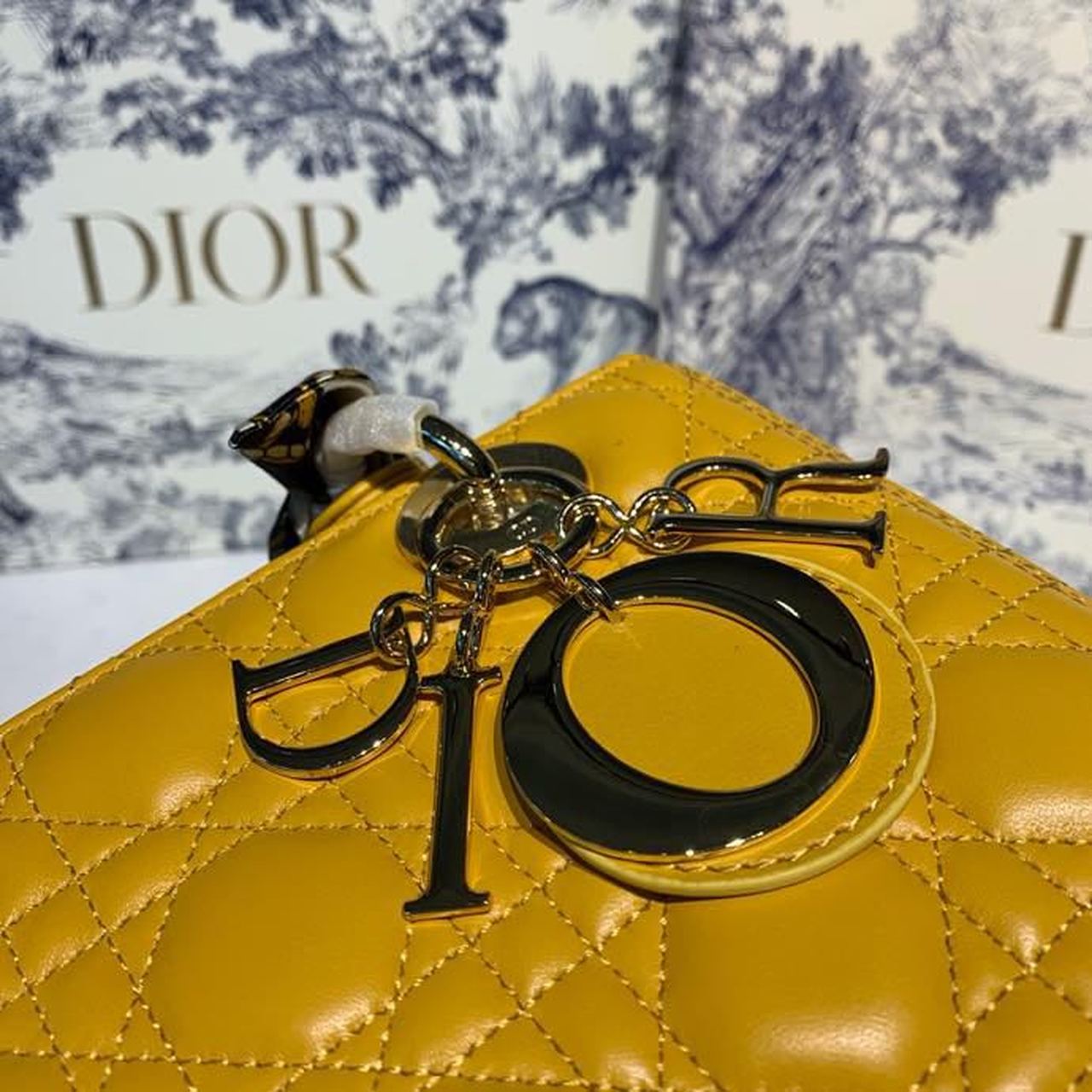 GLAMI MeGLAMIum Lady Bag Silver Hardware Yellow For Women 9.5in/24cm CD