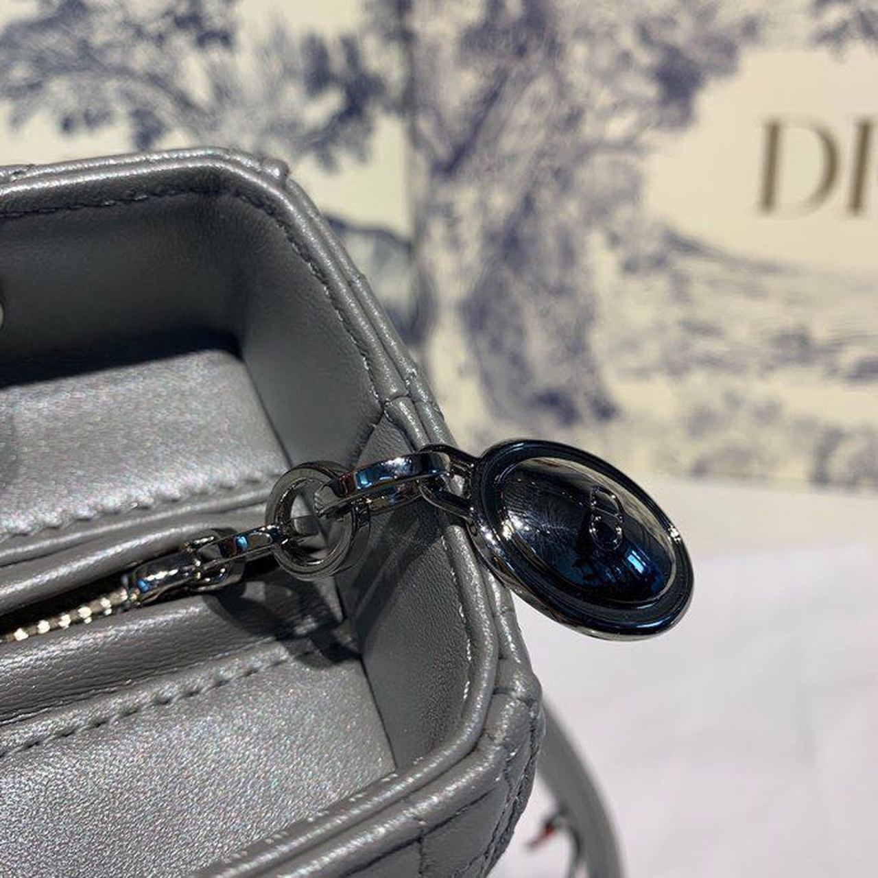 GLAMI MeGLAMIum Lady Bag Silver Hardware with Embellished Bag Strap Pearl Grey For Women 9.5in/24cm CD