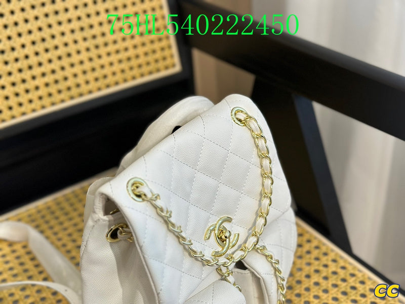 Glami - CHL Bags - 1491