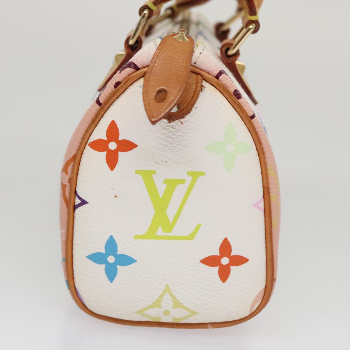 Speedy 25 Handbag Multicolore M92662