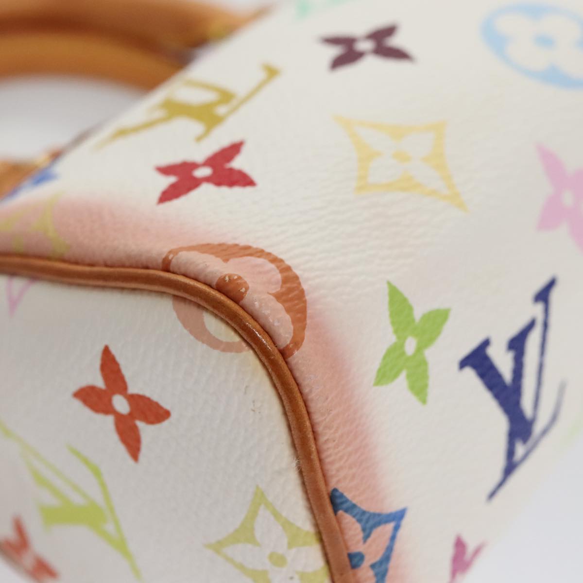 Speedy 25 Handbag Multicolore M92662