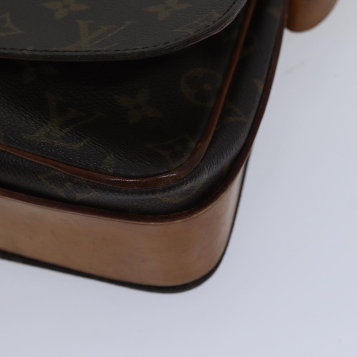 Monogram Canvas Pochette Crossbody