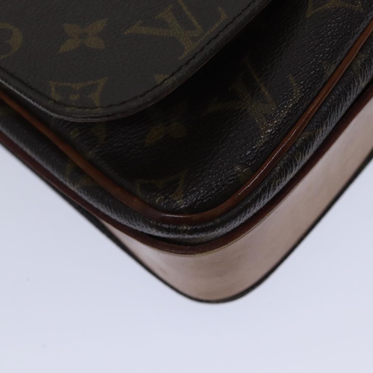 Monogram Canvas Pochette Crossbody