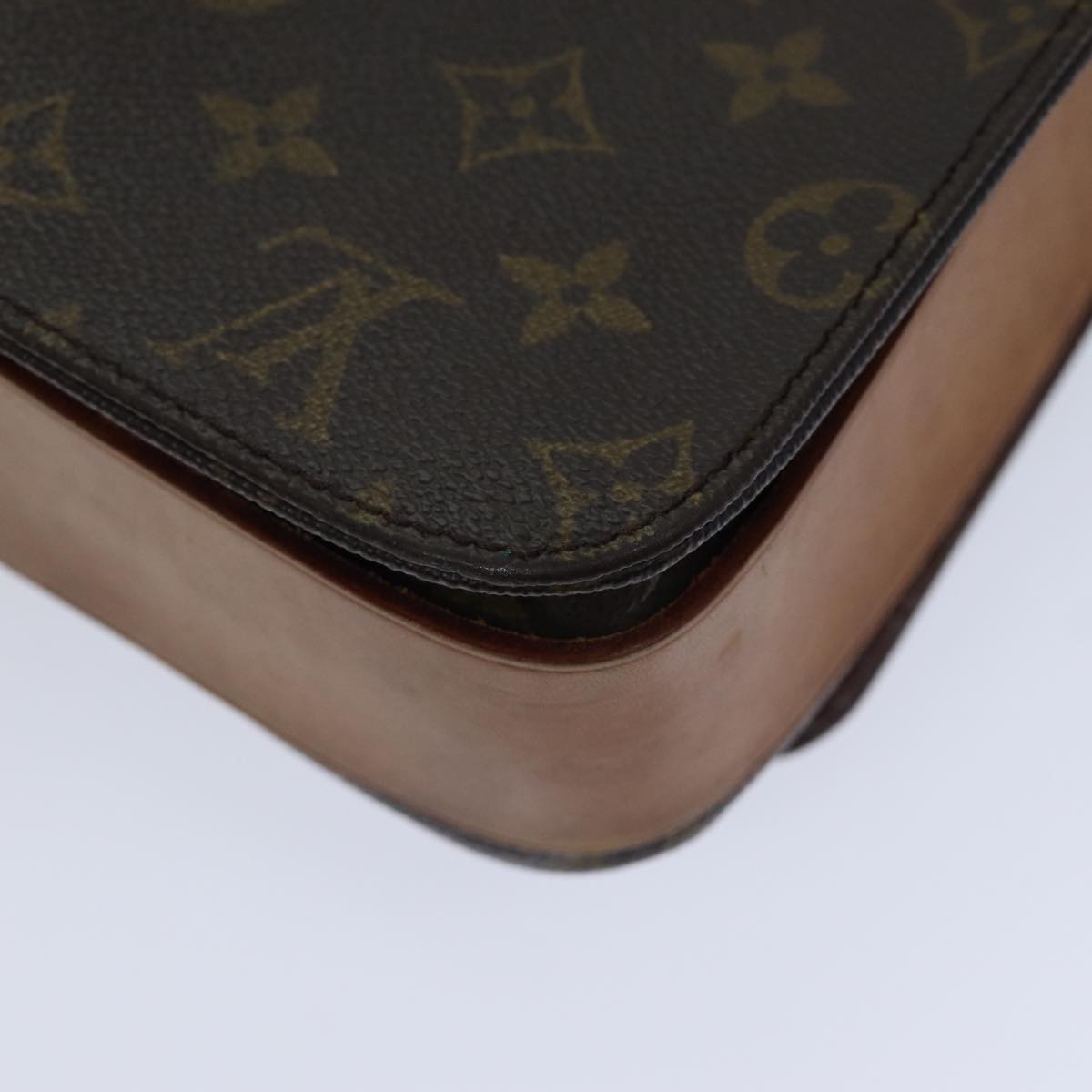 Monogram Canvas Pochette Crossbody