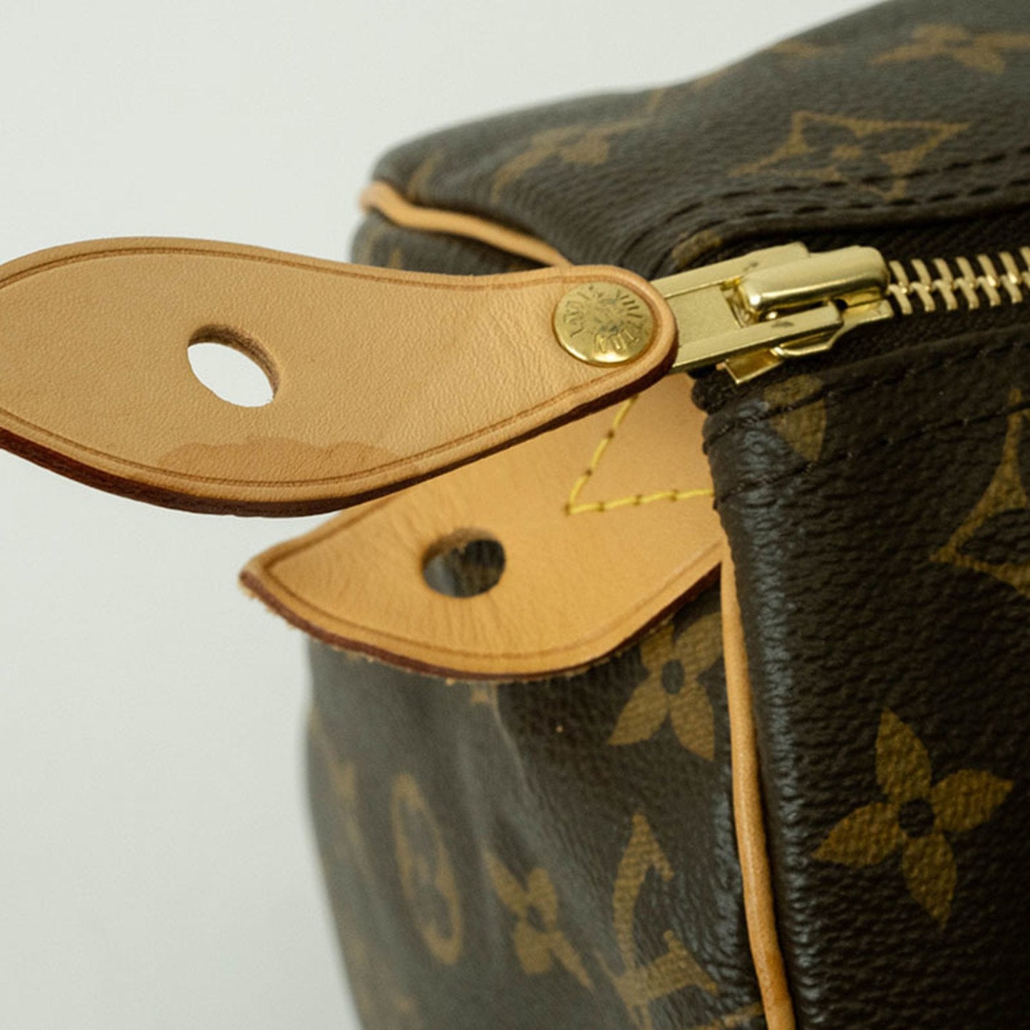 Speedy 25 Monogram Canvas Satchel