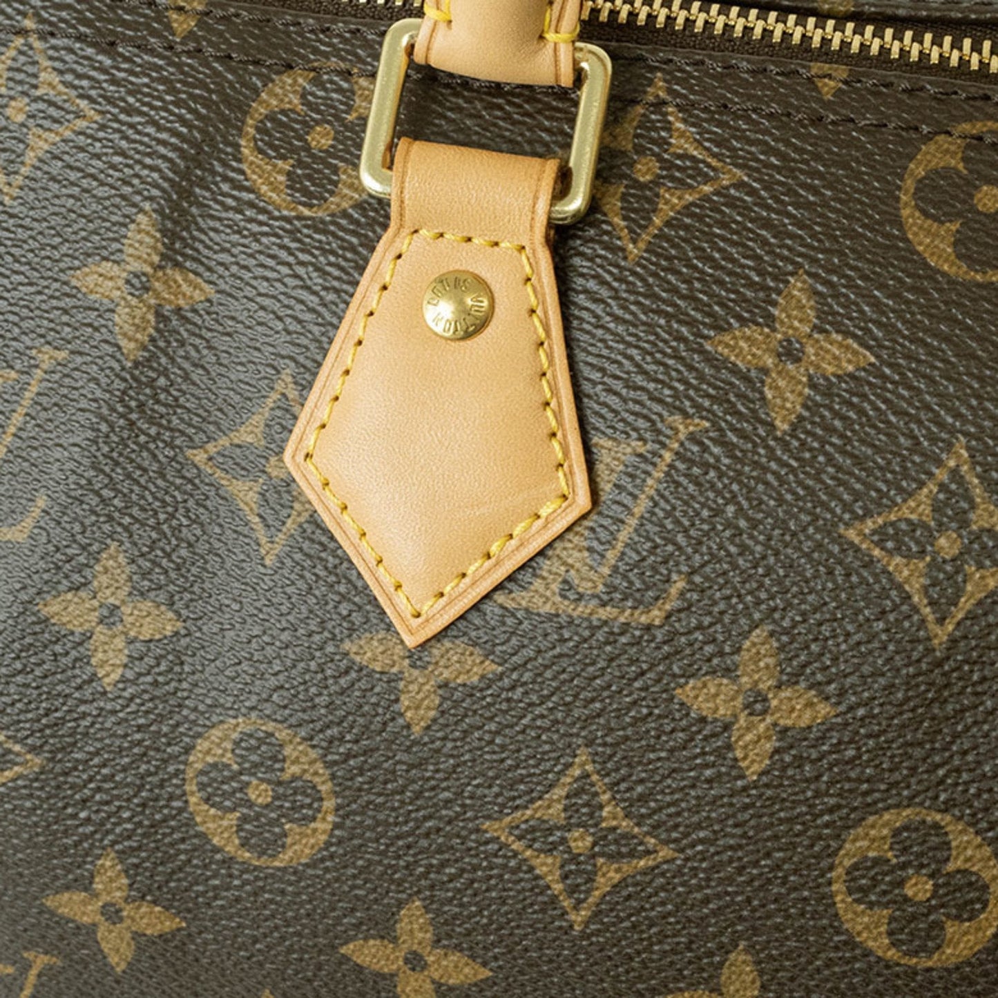 Speedy 25 Monogram Canvas Satchel
