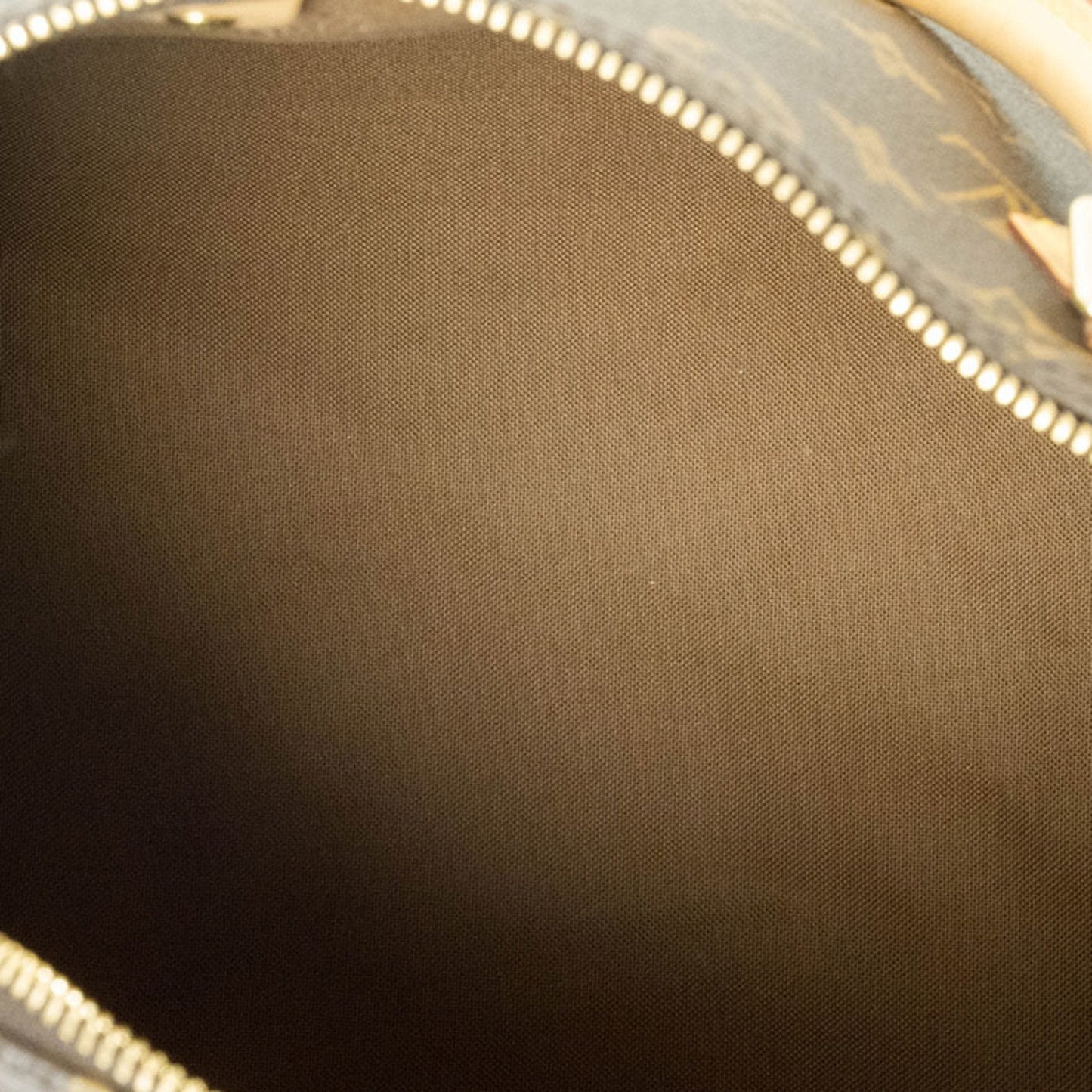 Speedy 25 Monogram Canvas Satchel
