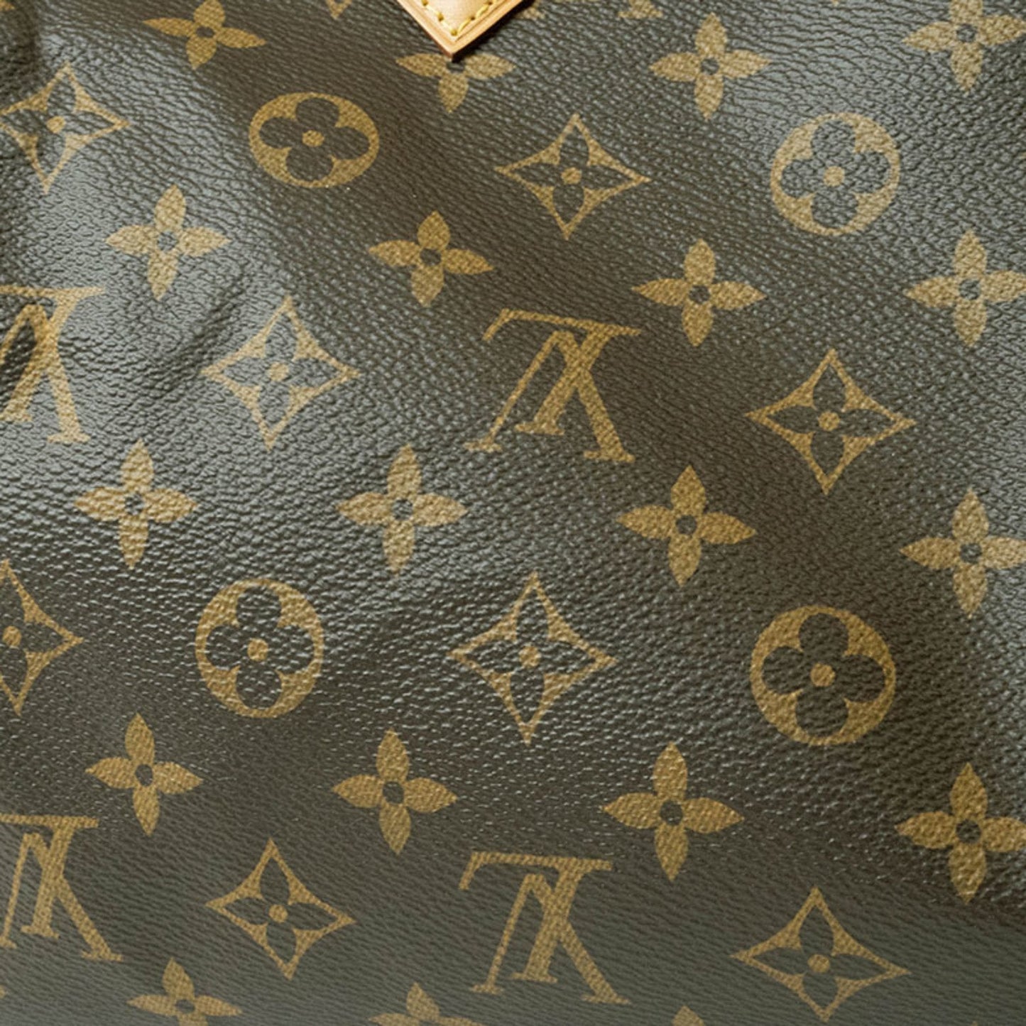 Speedy 25 Monogram Canvas Satchel