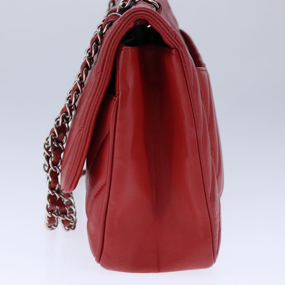 Chanel Lion Head Chevron Shoulder Bag