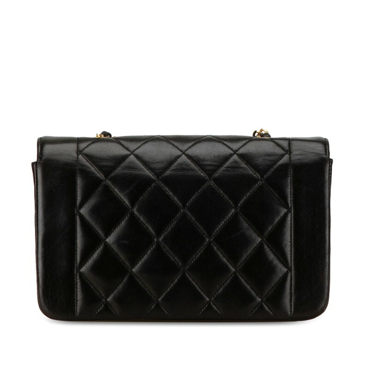 Chanel Classic Flap Bag Shoulder Bag