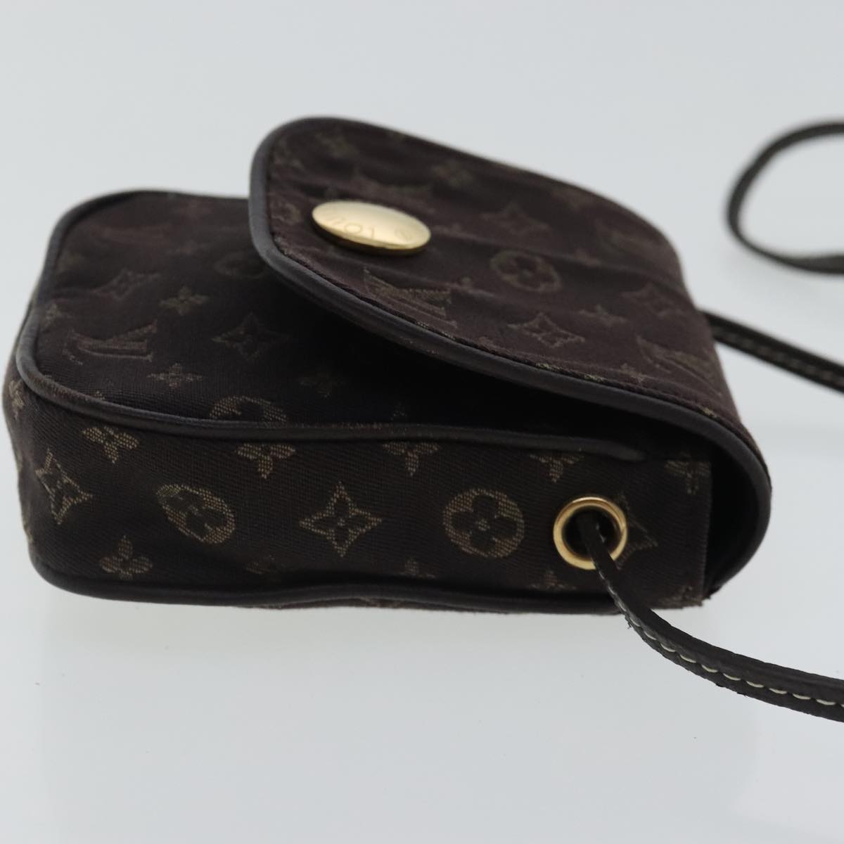 Mini Pochette Accessories Monogram