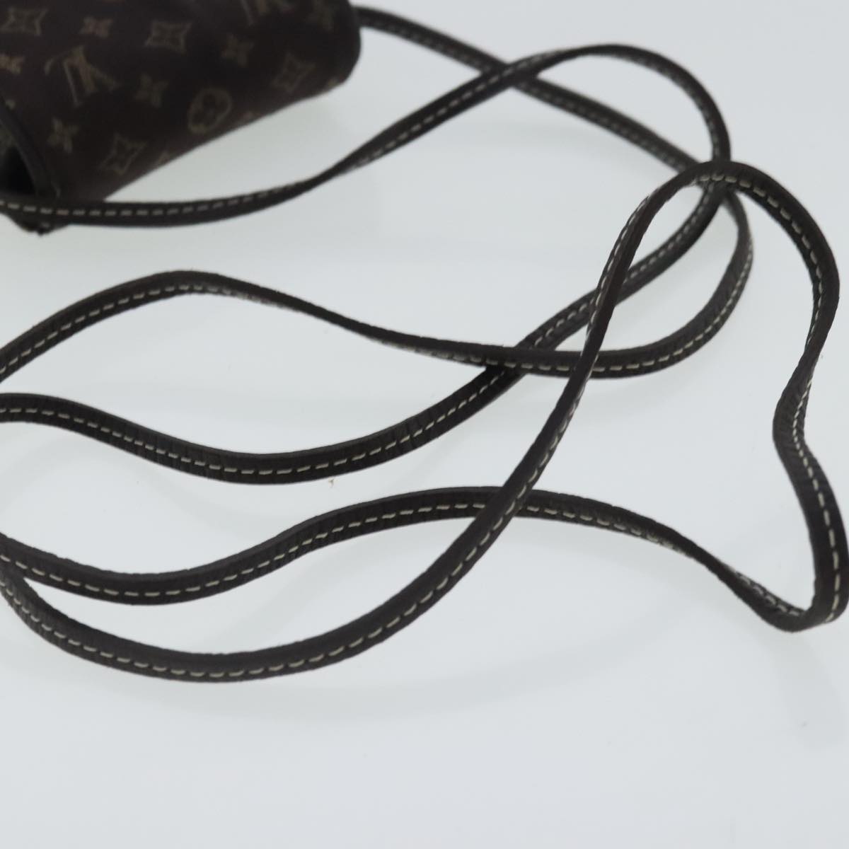 Mini Pochette Accessories Monogram