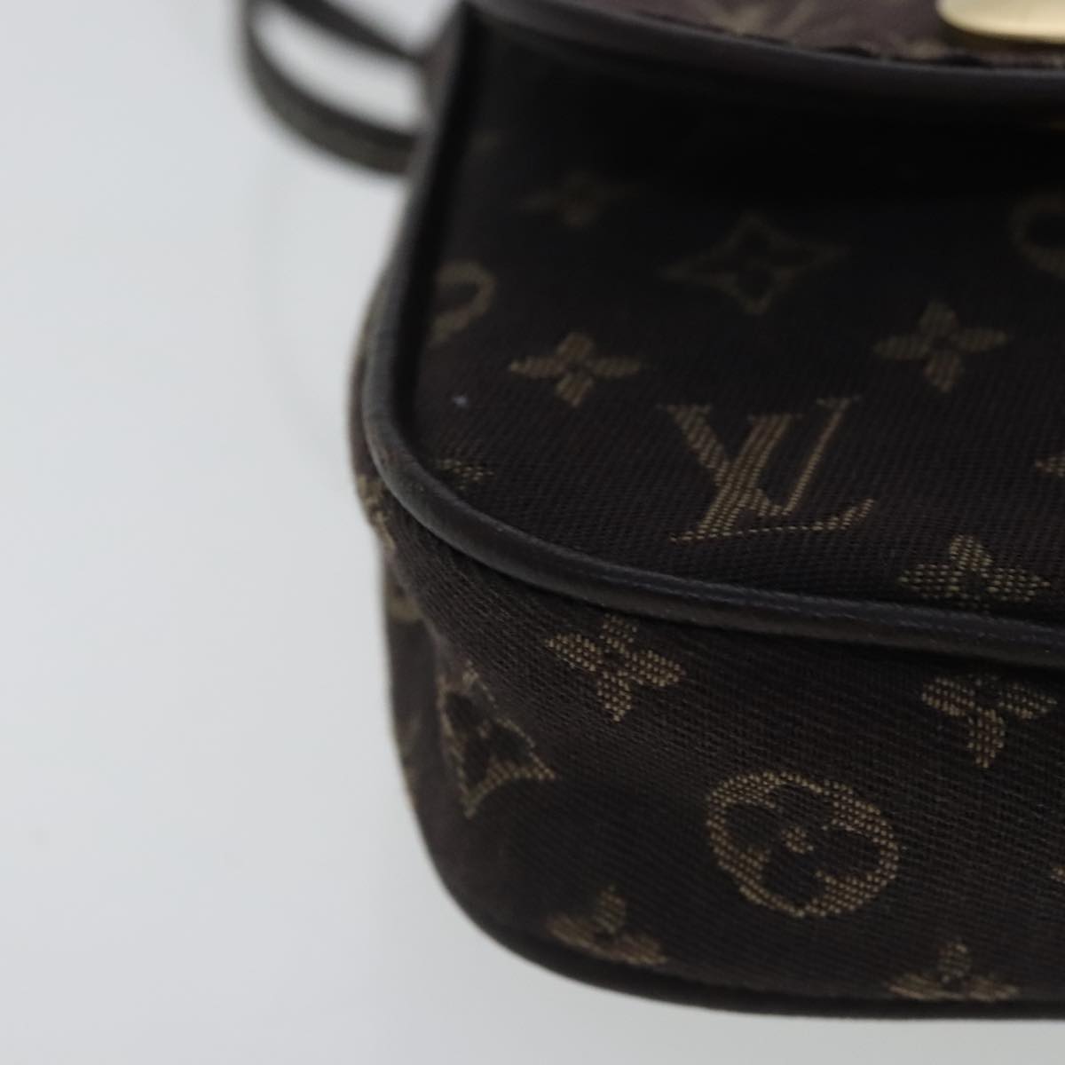 Mini Pochette Accessories Monogram