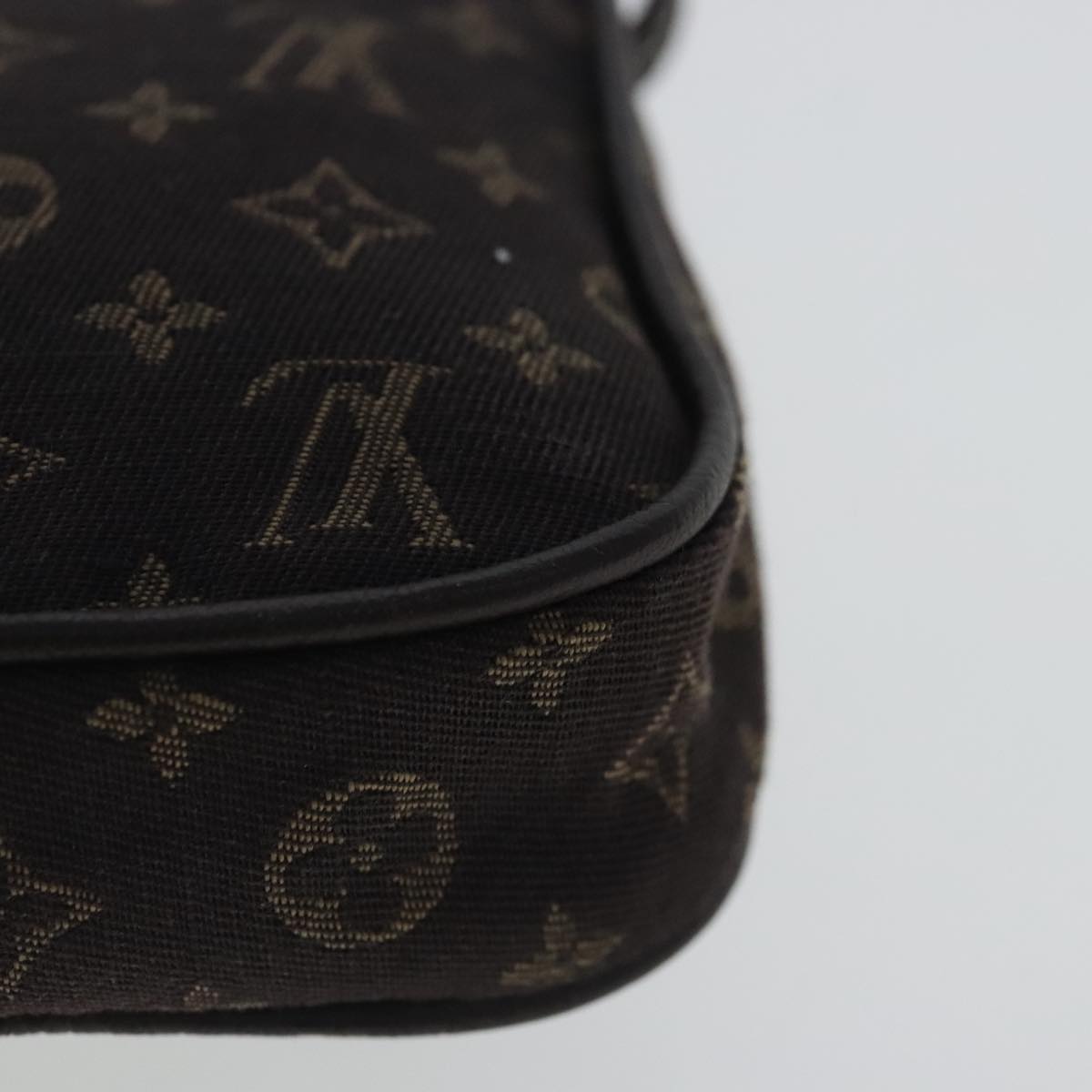 Mini Pochette Accessories Monogram