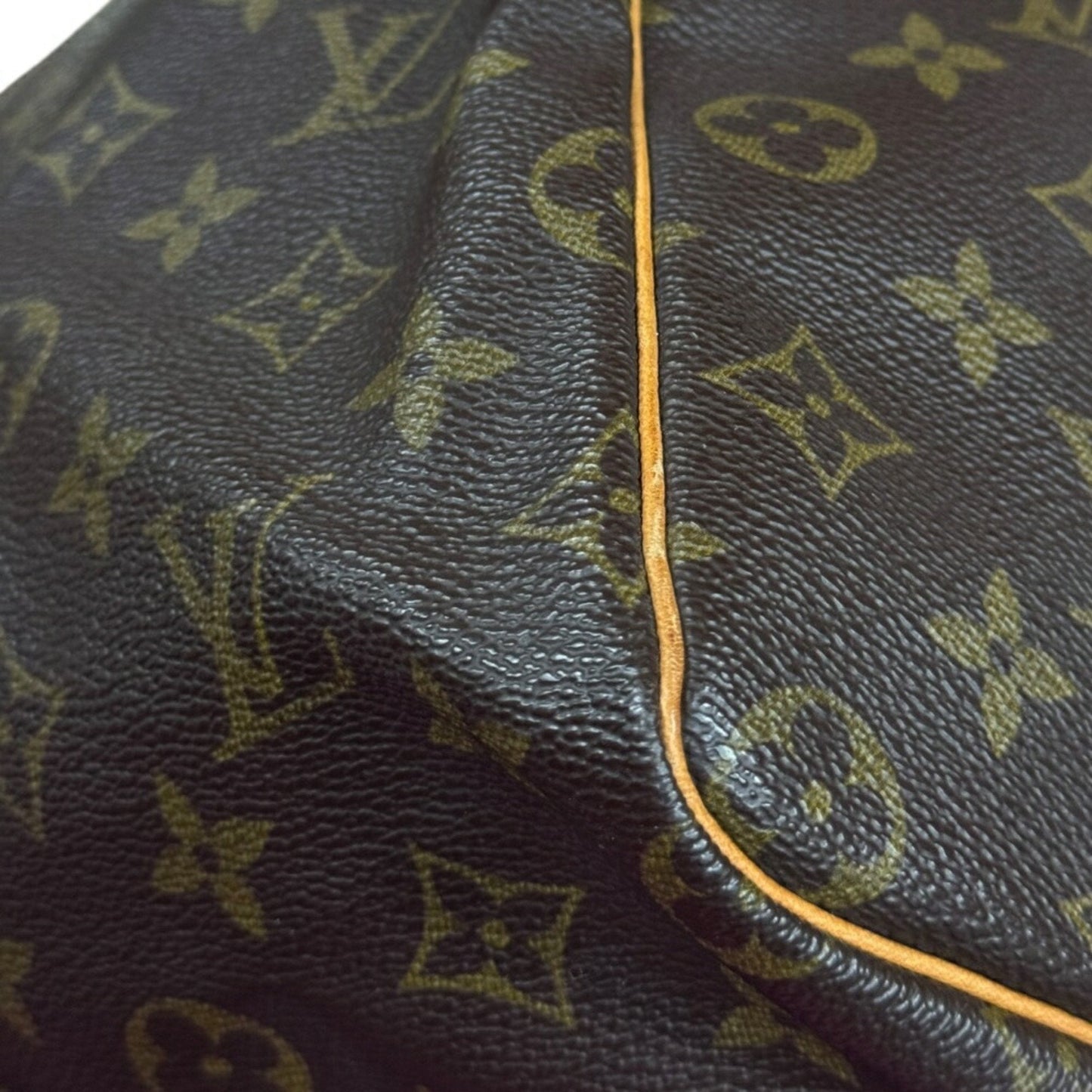 Speedy 30 Monogram Canvas Handbag